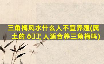 三角梅风水什么人不宜养殖(属土的 🐦 人适合养三角梅吗)